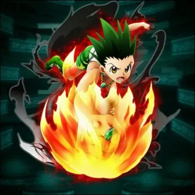 Comment se nomme le personnage principal de "Hunter x Hunter" ?