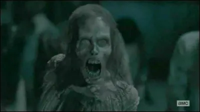 Combien y a-t-il de saisons actuellement (juillet 2017) ?