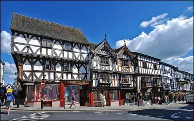 Ville de l'ouest de l'Angleterre de 11 000 habitants, proche du pays de Galles, dans le Shropshire. Très jolie ville au style Tudor située sur une colline, que domine un château, elle est notamment réputée pour sa gastronomie. C'est :