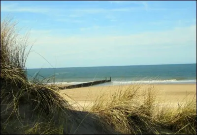 Assurer un courant d'air.