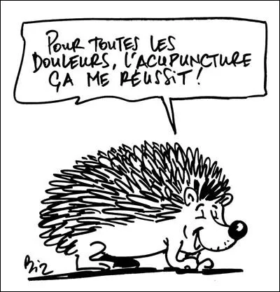 Combien compte-t-on de points d'acupuncture, répartis sur les méridiens de la surface du corps ?