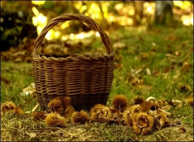 Lequel de ces travaux agricoles ne se fait pas à l'automne ?