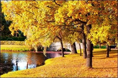 Quel mois d'automne est le titre d'une chanson de Francis Cabrel ?
