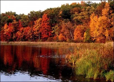 La date de l'équinoxe d'automne tombe toujours le 21 septembre :