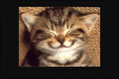 Quel personnage Disney préfères-tu ?