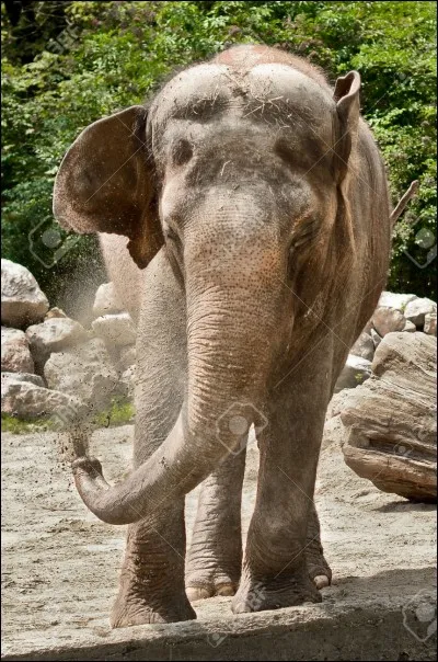 Les femmes aspirent ...