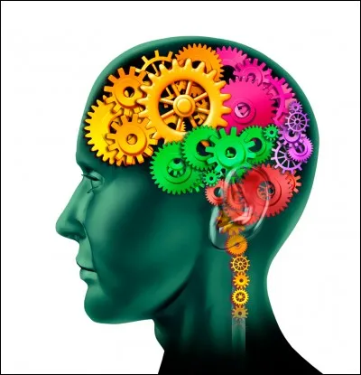 Le cerveau a des capacités tellement étonnantes qu'aujourd'hui ....