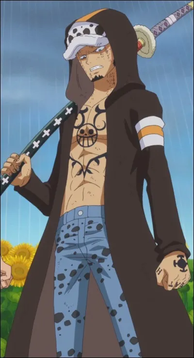 Quel est le nom complet de Trafalgar Law ?