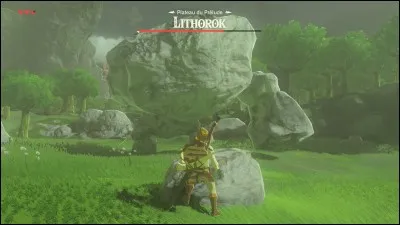 Combien de sortes de Lithoroks existe-t-il ?