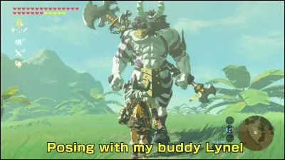 Combien de points de vie possède un Lynel d'argent ?
