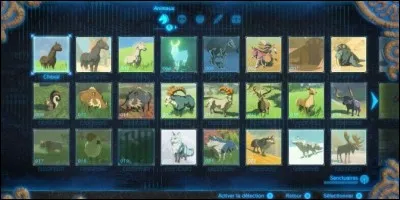 Dans l'encyclopédie, combien y a-t-il d'animaux à photographier ? (Environ)