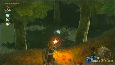 Comment s'appellent les lapins bleus mystérieux, plutôt fluorescents ?