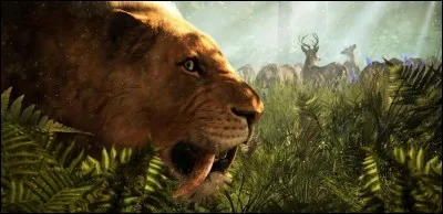 Lesquels de ces personnages sont des animaux ou autres créatures non humaines ?