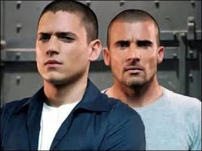 Quel est le groupe sanguin de Michael et Lincoln ?