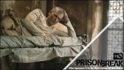 Pour qui Michael se fait-il passer dans la saison 5 ?