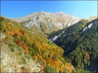 Le versant sud d'une montagne est appelé un adret.