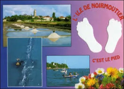 Un ami vous envoie une carte postale de l'Ile de Noirmoutier. D'après vous, dans quel département a-t-il passé ses vacances ?