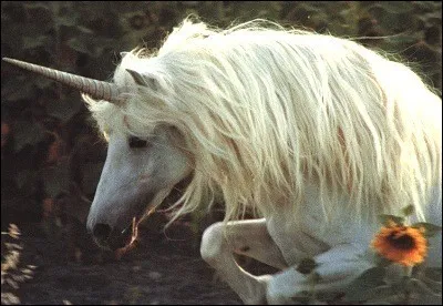 Au mieux pour vous, que doit contenir votre baguette magique ?