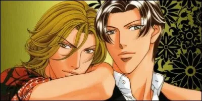 Quel est le nom de ce Yaoi ?