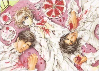 Quel est le nom de ce Yaoi ?