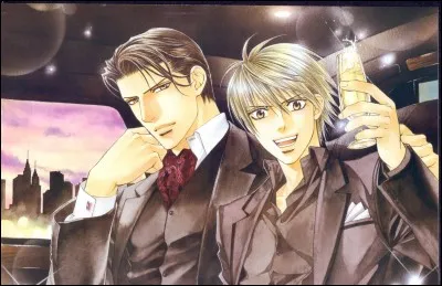Quel est le nom de ce Yaoi ?