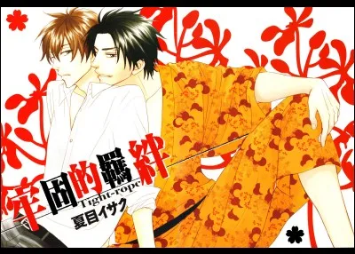 Quel est le nom de ce Yaoi ?