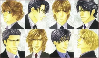 Quel est le nom de ce Yaoi ?