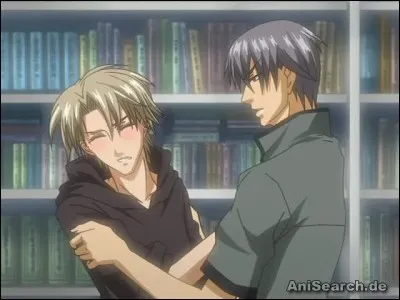 Quel est le nom de ce Yaoi ?