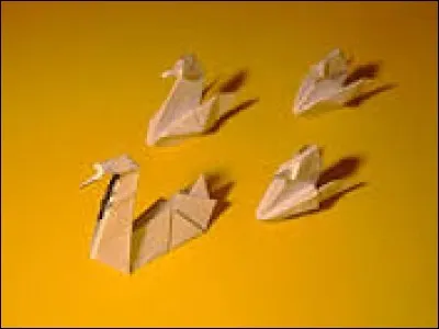 Quels symptomes a Michael (2 réponses) ?