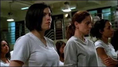 Sarah est allée en prison pour avoir tué la mère de Michael et Lincoln.