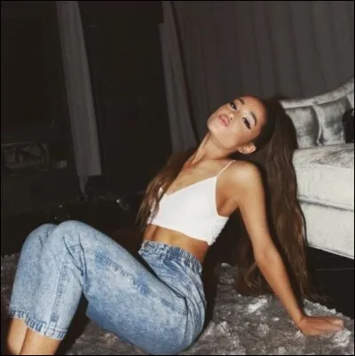 Comment s'appellent les fans d'Ariana ?