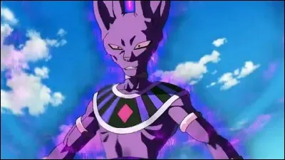 Qui est Beerus