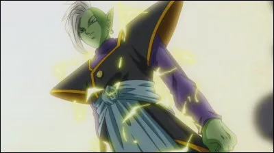 Qui est Zamasu du futur ?
