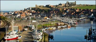 Ville de 13 000 habitants du nord de l'Angleterre, dans le Yorkshire. Petit port de pêche et de plaisance sur la mer du Nord. Célèbre pour son abbaye et pour être le lieu où Dracula aurait débarqué dans le roman éponyme. Il s'agit de :