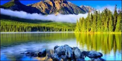 Homme chargé de la direction du déroulement d'une épreuve sportive et du respect des règlements établis par les instances organisatrices.