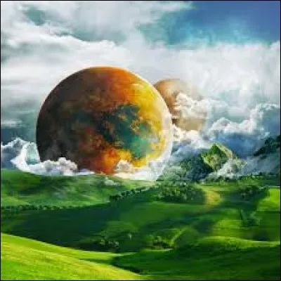 La plus grande diversité d'espèces se trouve sur le pourtour du bassin méditerranéen.