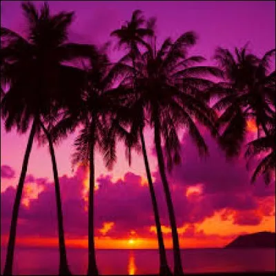 Il est surnommé le « Chêne autrichien ».