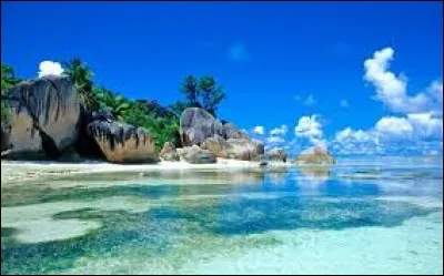 Vaisseau qui conduit le sang du cur aux autres tissus de l'organisme.