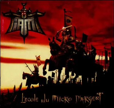 Dans le groupe IAM, combien sont-ils en 2017 ?