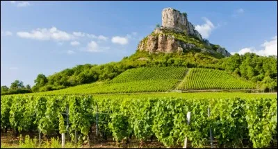 Ferlie - Peut-on voir des fleurs de lys sur le blason de la Bourgogne ?
