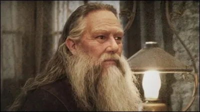 Qui joue Abelforth Dumbledore ?