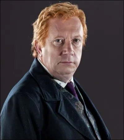 Qui joue Arthur Weasley ?