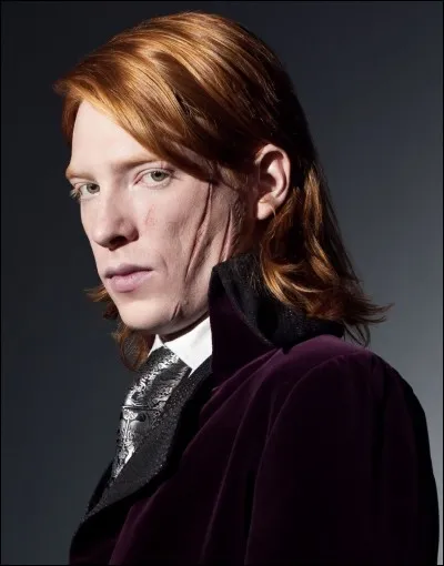 Qui joue Bill Weasley ?