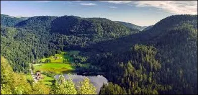 En 1984, c'est l' affaire de l'assassinat du petit Grégory dans les Vosges. Cette année sort le film...