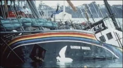 En 1985, c'est l'explosion du Rainbow Warrior dans le port d'Auckland en Nouvelle-Zélande. Cette année sort le film...