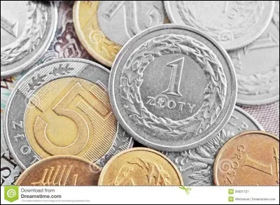 Ma monnaie nationale est le zloty. J'ai des frontières communes avec : l'Allemagne, la République tchèque, la Slovaquie, l'Ukraine, la Biélorussie, la Lituanie et la Russie. Je suis un pays d'Europe centrale. Je compte 38 millions d'habitants en 2015. Je suis...