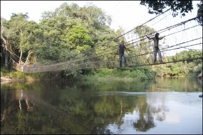 J'ai beaucoup de parcs nationaux, notamment le parc de la Lopé qui est inscrit au patrimoine mondial de l'UNESCO. Mon principal fleuve est l'Ogooué qui fait 1200 kilomètres de long. Ma langue officielle est le français. Je suis...