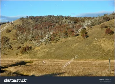 Dans l'extrême-sud du pays dont je suis la capitale, j'ai une ville appelée Ushuaïa comprise parmi les villes les plus au sud de la planète. Je suis donc...