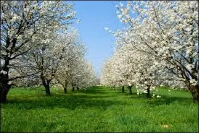 En 1992, c'est la signature du traité de Maastricht. Cette année-là sort le film...