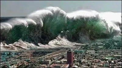 En 2004, un séisme et un tsunami ravagent l'intégralité de l'océan Indien, tuant plus de 250 000 personnes. Cette année-là sort le film...